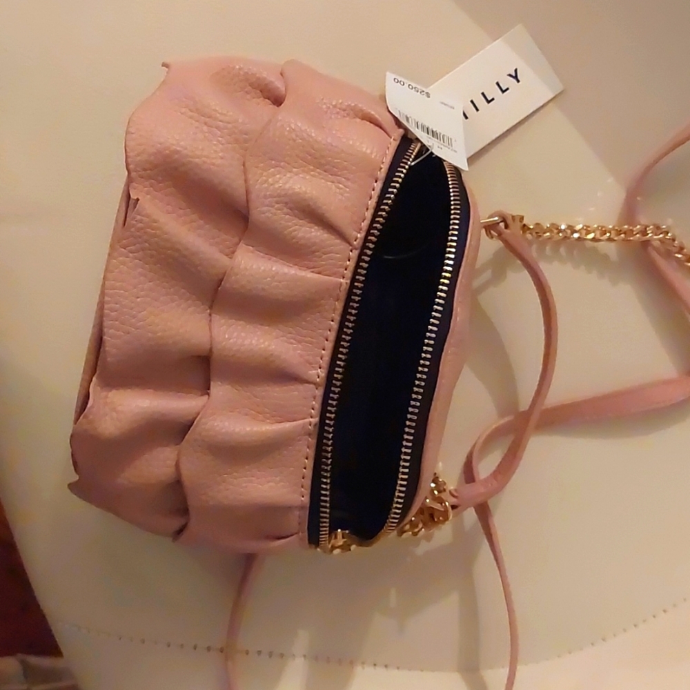 Brand new Milly purse